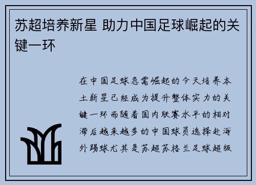 苏超培养新星 助力中国足球崛起的关键一环